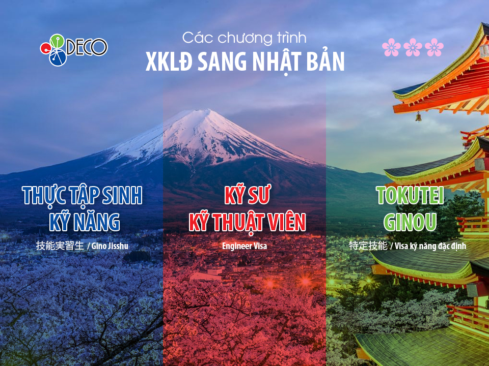Các chương trình xuất khẩu lao động sang Nhật Bản
