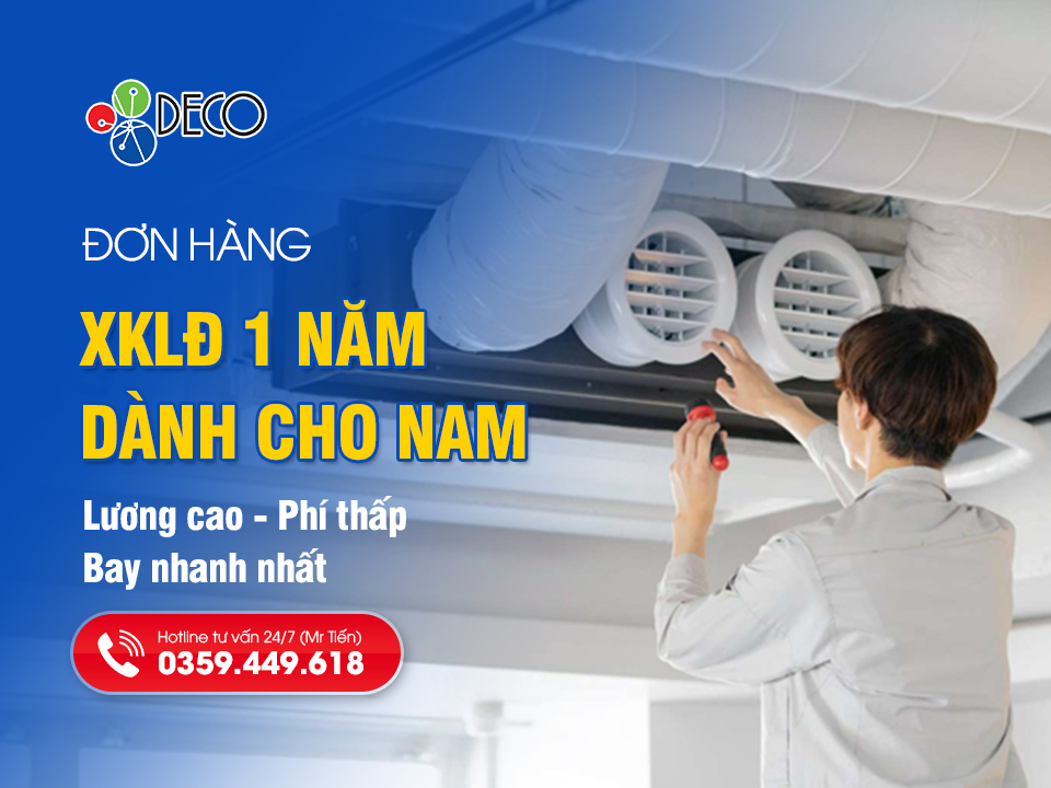 Đơn Hàng 1 Năm Đi Nhật Cho Nam Lương Cao, Phí Thấp Và Bay Nhanh Nhất