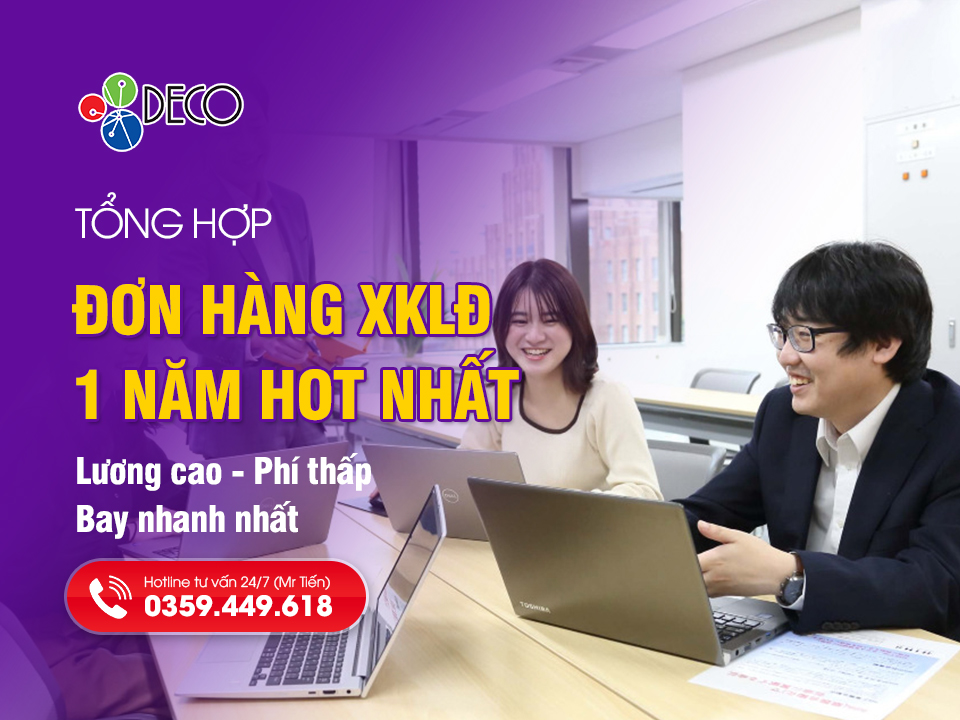 Tổng Hợp Đơn Hàng 1 Năm Đi Nhật Lương Cao, Phí Thấp Và Bay Nhanh Nhất