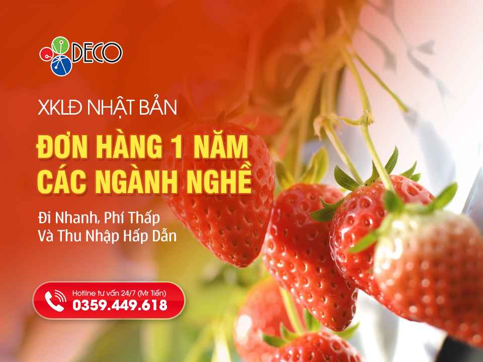 Đơn Hàng XKLD Nhật 1 Năm: Đi Nhanh, Phí Thấp Và Thu Nhập Hấp Dẫn