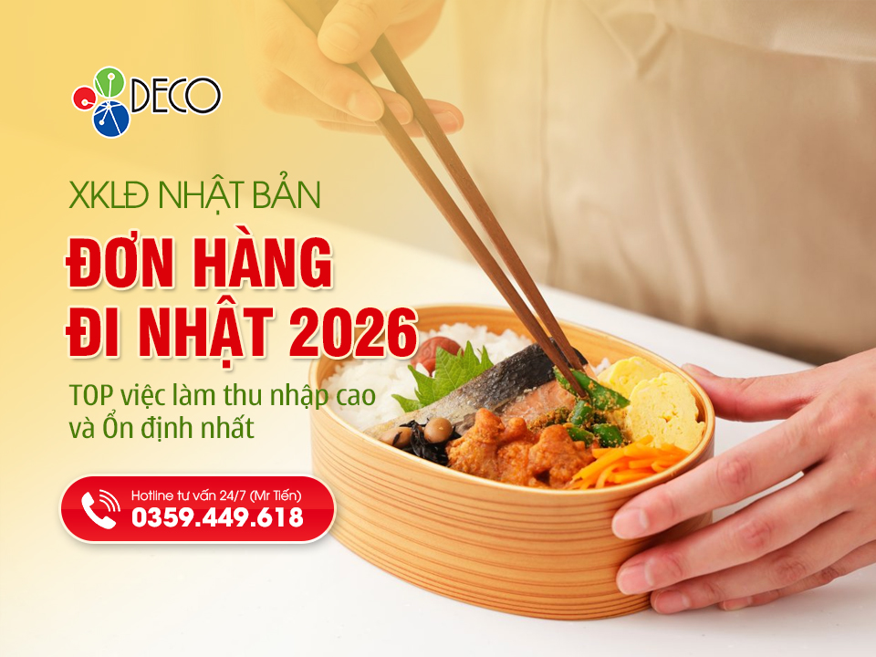 Đơn Hàng Chế Biến Thực Phẩm Nhật Bản: Top Việc Làm Thu Nhập Cao Và Ổn Định Nhất