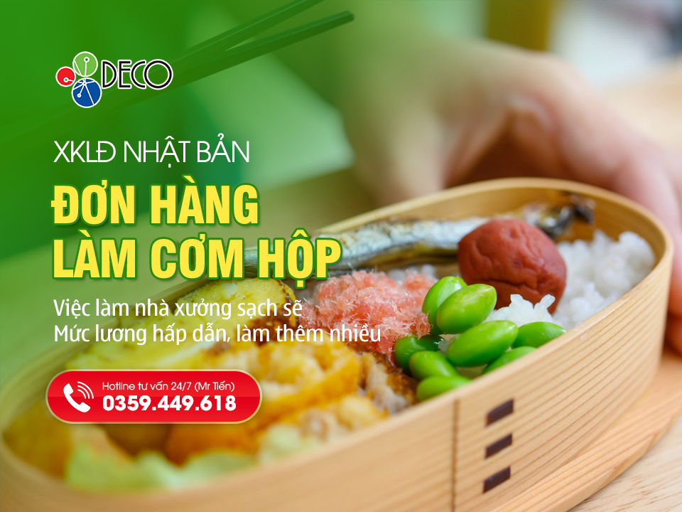 Đơn Hàng Cơm Hộp Đi Nhật: Công Việc Nhà Xưởng Sạch Sẽ Với Mức Lương Hấp Dẫn Nhất