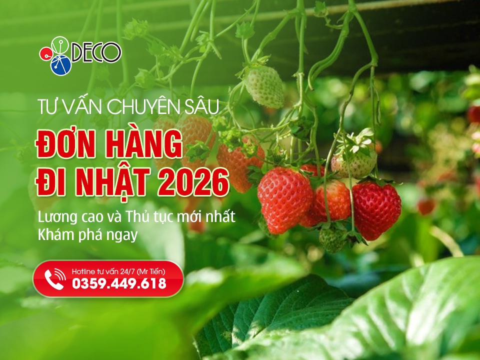 Tổng Hợp Đơn Hàng Đi Nhật 2026 Lương Cao Và Thủ Tục Mới Nhất