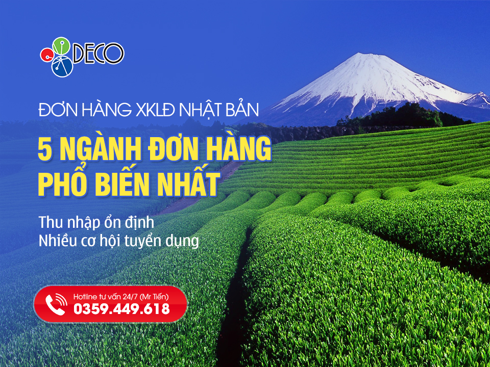 Phân loại các đơn hàng xkld Nhật Bản phổ biến nhất