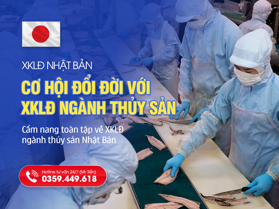 Xuất Khẩu Lao Động Ngành Thủy Sản Nhật Bản 2026: Việc Nhẹ, Lương Cao, Dễ Trúng Tuyển