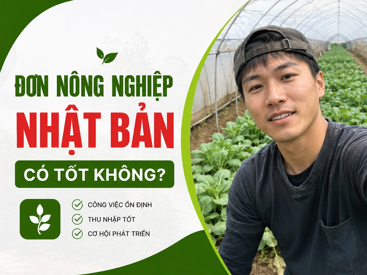 Đơn nông nghiệp Nhật Bản có tốt không?