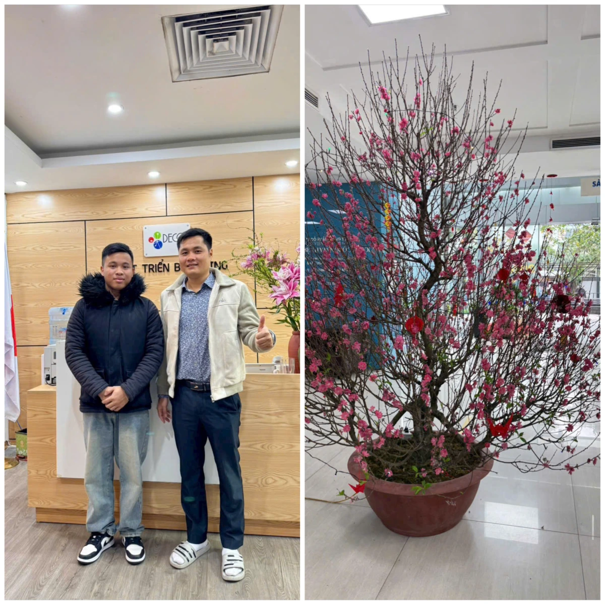 Hỗ trợ em Bình từ Thái Nguyên đăng ký đơn hàng nội thất Nhật Bản