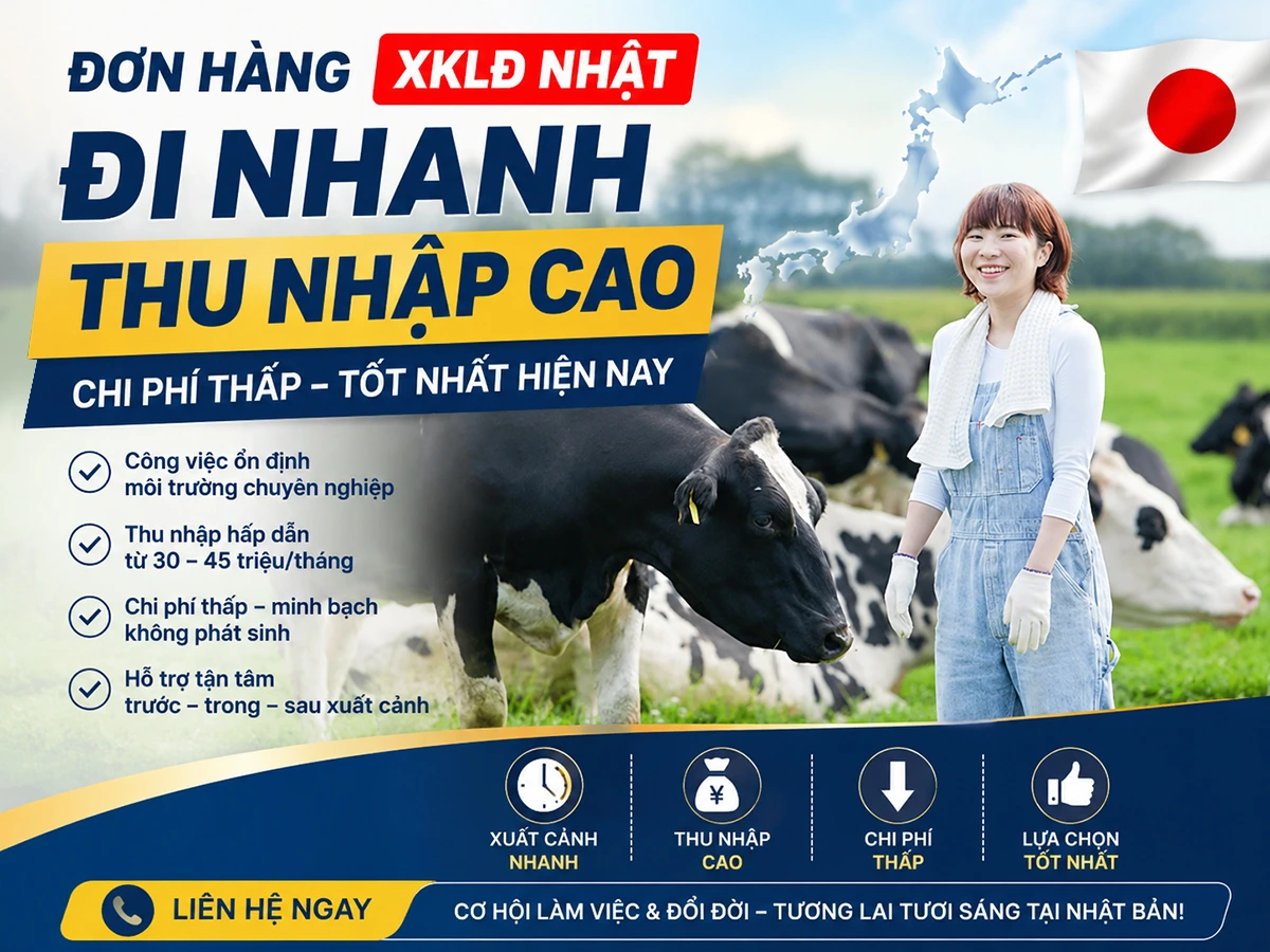 Đơn hàng XKLĐ Nhật đi nhanh