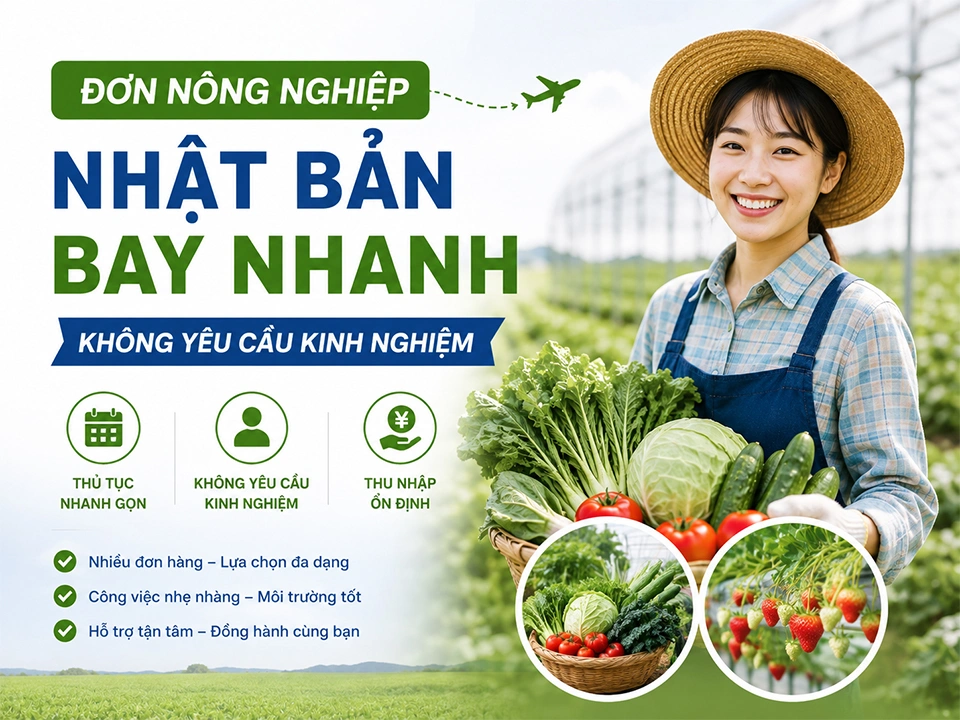 Đơn nông nghiệp Nhật Bản bay nhanh, không yêu cầu kinh nghiệm