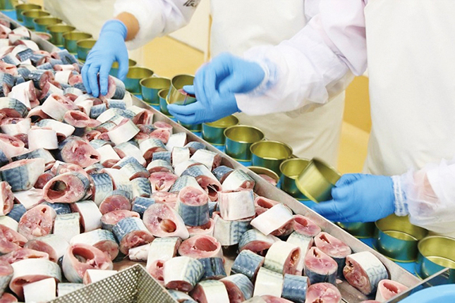 Đơn tuyển dụng 07 lao động chế biến cá hộp – thực phẩm đóng lon