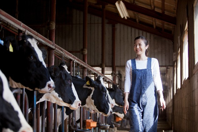 Tuyển 06 Nữ ngành Nông nghiệp chăn nuôi làm việc tại Shizuoka (磐田市 Iwata)