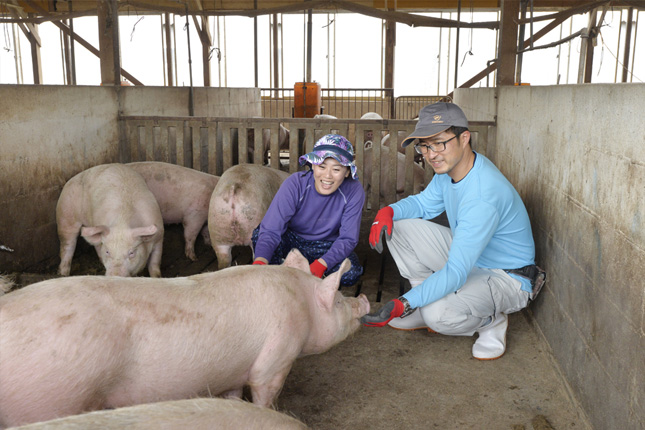 Tuyển 06 nam kỹ sư nông nghiệp, thú y, chăn nuôi làm việc tại Aichi, Nhật Bản