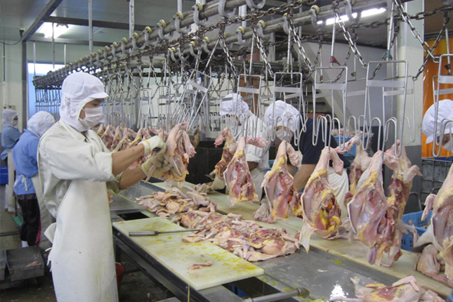 Tuyển 5 Nam chế biến thực phẩm làm việc tại Đài Nam (Đài Loan)