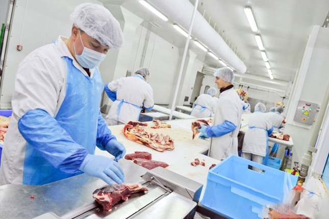 Đơn tuyển dụng 06 nam chế biến thực phẩm – tăng ca ~80h/tháng (Tân Bắc)