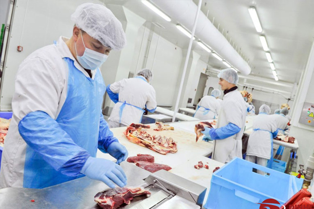 Đơn tuyển dụng 07 nam chế biến thịt – tăng ca nhiều (Tân Doanh, Đài Nam)