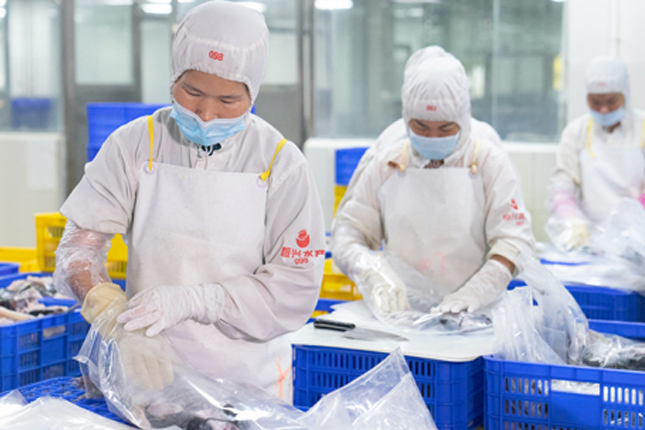 Tuyển 50 nam nữ chế biến thực phẩm làm việc tại Gunma (Quận Oura – Itakura)