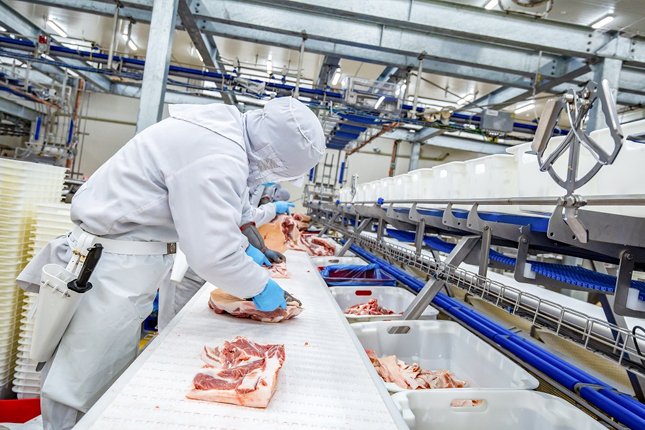 Tuyển 10 Nam chế biến thực phẩm làm việc tại Đài Bắc (Đài Loan)