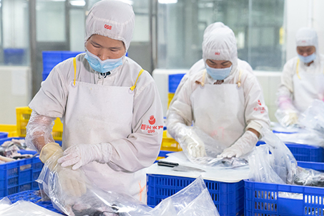 Tuyển dụng 16 nữ chế biến thực phẩm - Ehime, Nhật Bản