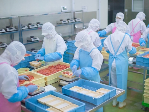 Tuyển 05 nữ chế biến thực phẩm nguyên liệu từ cá, đóng gói hút chân không
