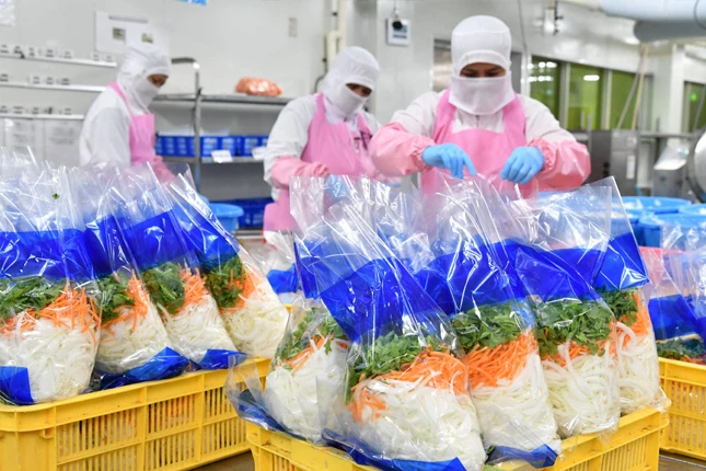 Đơn tuyển dụng 08 lao động chế biến rau củ – đóng gói