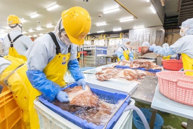 Đơn tuyển dụng 09 lao động chế biến thực phẩm đông lạnh – đóng gói