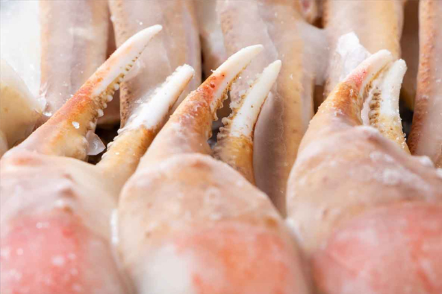 Đơn tuyển dụng 08 lao động chế biến thực phẩm đông lạnh – đóng gói