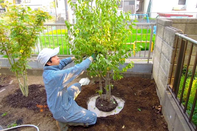 Tuyển 05 Nam làm vườn, thi công ngoại cảnh tại Kanagawa (Yokohama), Nhật Bản