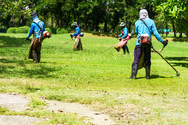 Tuyển 10 Nữ làm dọn dẹp sân vườn – cắt cỏ tại Đài Bắc (Đài Loan)