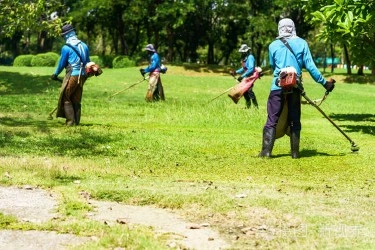 Tuyển 10 Nữ làm dọn dẹp sân vườn – cắt cỏ tại Đài Bắc (Đài Loan)