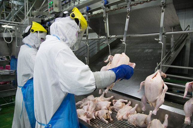 Tuyển 10 Nam lao động làm việc tại nhà máy Cự Lập, Đài Trung, Đài Loan