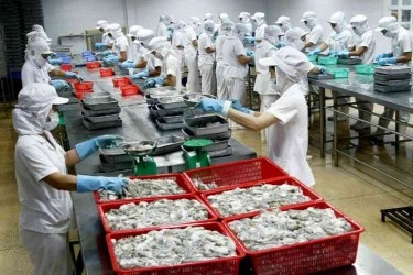 Tuyển 10 Nam + 2 Nữ chế biến thực phẩm làm việc tại Chương Hóa, Đài Loan
