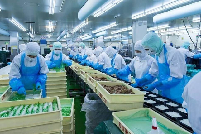 Tuyển gấp 5 Nam làm thực phẩm (thịt đông lạnh) tại Bình Đông (Đài Loan)