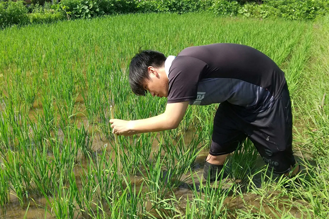 Tuyển 04 Nam làm nông nghiệp trồng trọt tại Hiroshima (khu vực Sera), Nhật Bản