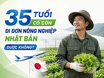 35 Tuổi Có Còn Đi Đơn Nông Nghiệp Nhật Bản Được Không? Cơ Hội Cuối Năm 2026