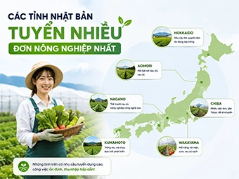 Các Tỉnh Nhật Bản Tuyển Nhiều Đơn Nông Nghiệp Nhất: Cẩm Nang Lựa Chọn Vùng Đất Vàng Cho Lao Động Việt