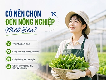 Có Nên Chọn Đơn Nông Nghiệp Nhật Bản: Phân Tích Cơ Hội Và Thách Thức Mới Nhất