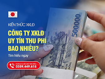 Công Ty Uy Tín Có Thu Phí Bao Nhiêu: Cập Nhật Bảng Giá XKLĐ Nhật Bản Mới Nhất
