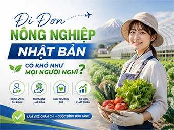 Đi Đơn Nông Nghiệp Nhật Bản Có Khổ Như Mọi Người Nghĩ: Góc Nhìn Thực Tế Và Cơ Hội Đổi Đời Cho Lao Động Việt