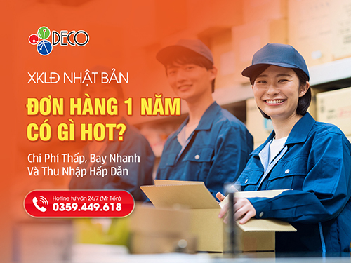 Đi Nhật Đơn Hàng 1 Năm: Chi Phí Thấp, Bay Nhanh Và Thu Nhập Hấp Dẫn