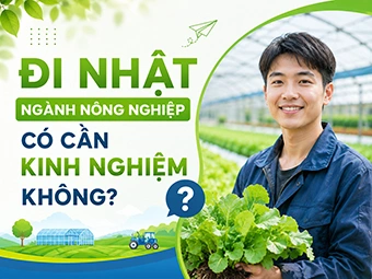 Đi Nhật Ngành Nông Nghiệp Có Cần Kinh Nghiệm Không: Lời Giải Đáp Chi Tiết Cho Lao Động Việt