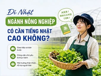 Đi Nhật Ngành Nông Nghiệp Có Cần Tiếng Nhật Cao Không?