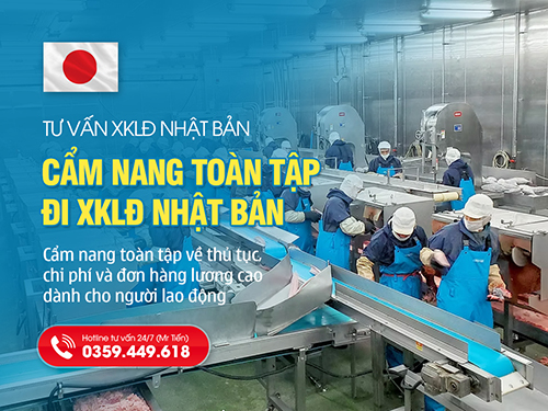 Đi XKLĐ Nhật Bản: Cẩm Nang Toàn Tập Về Thủ Tục, Chi Phí Và Đơn Hàng Lương Cao 2026