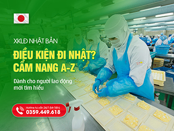 Điều Kiện Đi Nhật Mới Nhất: Cẩm Nang Toàn Diện Từ A Đến Z Cho Lao Động Việt