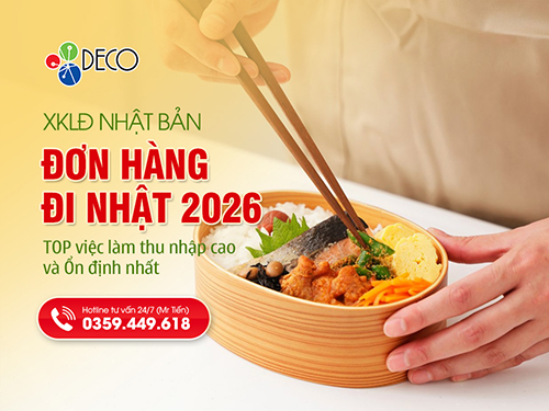 Đơn Hàng Chế Biến Thực Phẩm Nhật Bản: Top Việc Làm Thu Nhập Cao Và Ổn Định Nhất