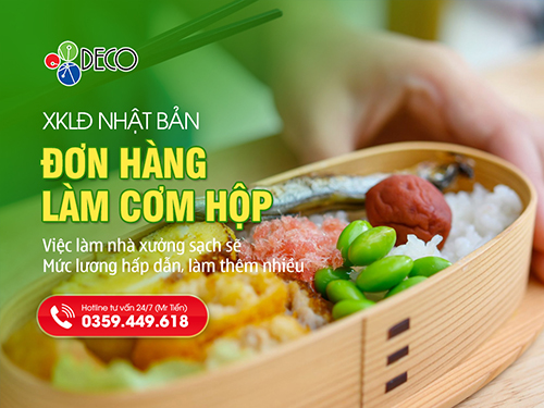 Đơn Hàng Cơm Hộp Đi Nhật: Công Việc Nhà Xưởng Sạch Sẽ Với Mức Lương Hấp Dẫn Nhất