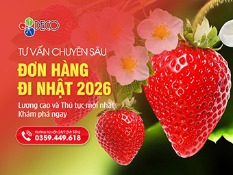 Tổng Hợp Đơn Hàng Đi Nhật 2026 Lương Cao Và Thủ Tục Mới Nhất