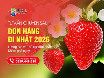 Tổng Hợp Đơn Hàng Đi Nhật 2026 Lương Cao Và Thủ Tục Mới Nhất