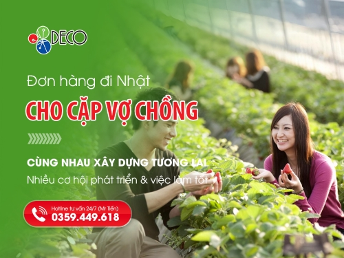 Đơn hàng đi Nhật cho cặp vợ chồng – Làm việc và cùng nhau xây dựng tương lai