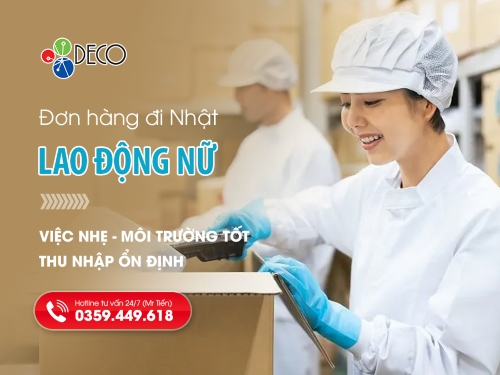 Đơn hàng đi Nhật cho nữ – Việc nhẹ, môi trường tốt, thu nhập ổn định