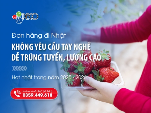 Đơn hàng đi Nhật không yêu cầu tay nghề 2025 - 2026: Dễ trúng tuyển, lương cao